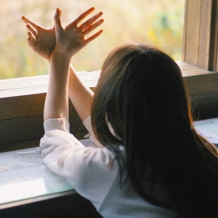 蓝天花朵